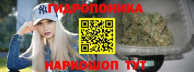 бошки Жуковский