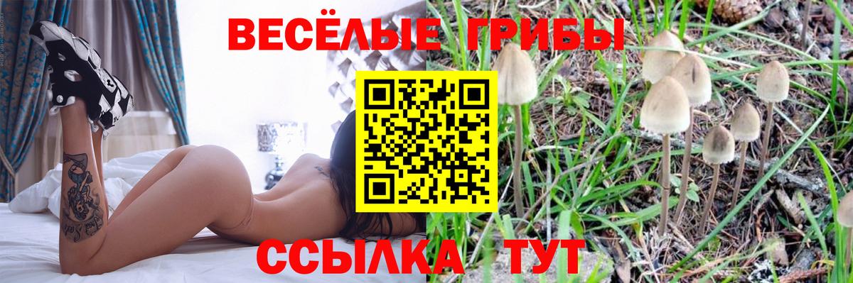 что такое наркотик  Вход с VPN  Калининград  Галлюциногенные грибы MAGIC MUSHROOMS 