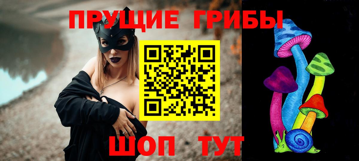 Псилоцибиновые грибы Cubensis Калининград