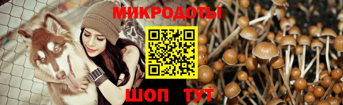 МЕФ кристаллы  Вход с VPN  ГАШ  Cocaine  Калининград  Конопля  Где продают наркотики? 